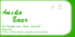 aniko baur business card